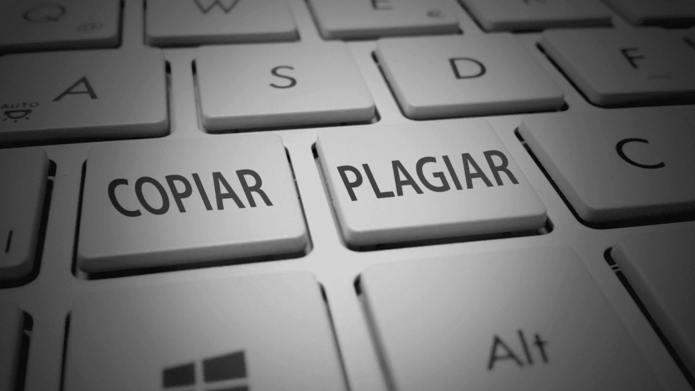 Nulidade de Questões de Concurso por Plágio